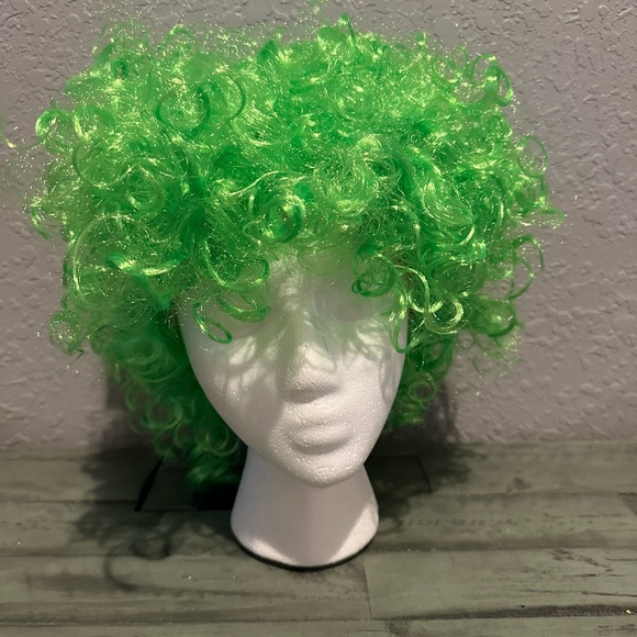 Green Curly Wig - New in bag - Picture 1 of 6